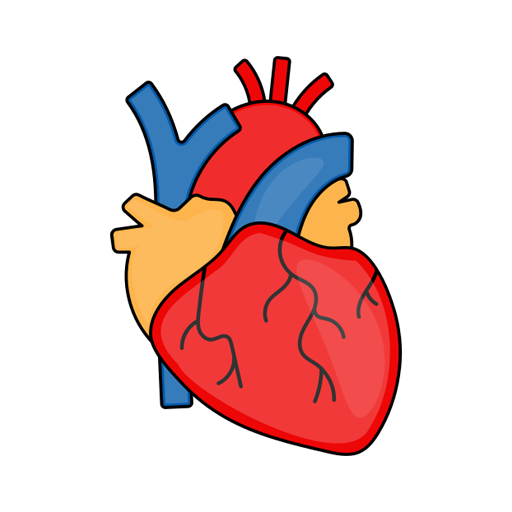 Speciality of Aoli Services